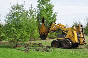 Посадка крупномеров