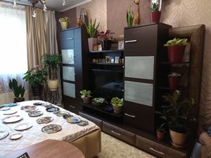 Пример горизонтального озеленения квартиры 2