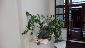 Коридор офиса