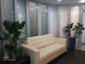 Горизонтальное озеленение