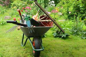 Наведение порядка