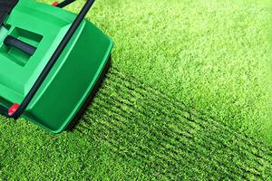 Скарификация газона