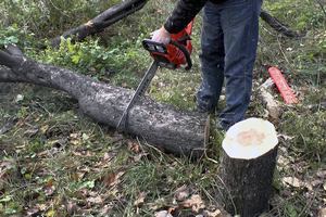 Удаление деревьев