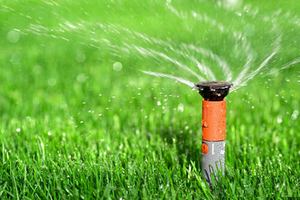 Уход за газоном