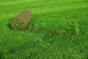 Восстановление газона